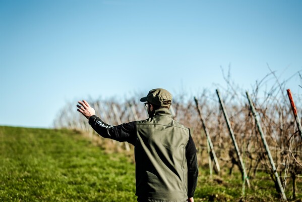 Gottfried in his 11-hectare vineyard