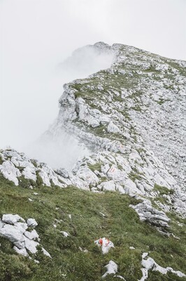 Steiler Fels im Nationalpark Gesäuse | © Max Mauthner