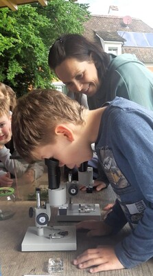 SuperheldInnen Insekten_Naturpark Poellauer Tal | © Naturpark PöllauerTal