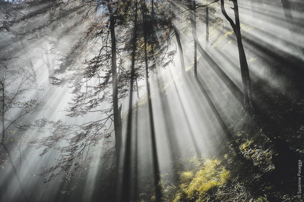 Malen mit Licht: Die Magie des Herbstes in Admont  Gesäuse