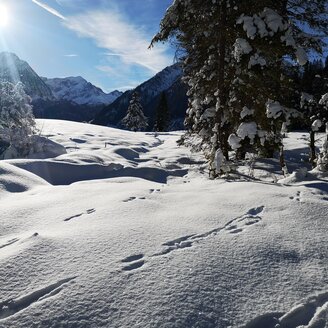 winterzauber erleben (c) naturpark sölktäler