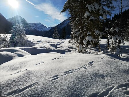 winterzauber erleben (c) naturpark sölktäler