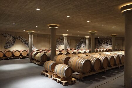 Barrel cellar - Neumeister winery in Straden | © Neumeister