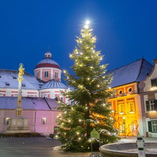 Weihnachtsbaum Pöllau_Oststeiermark | © Tourismusverband Oststeiermark