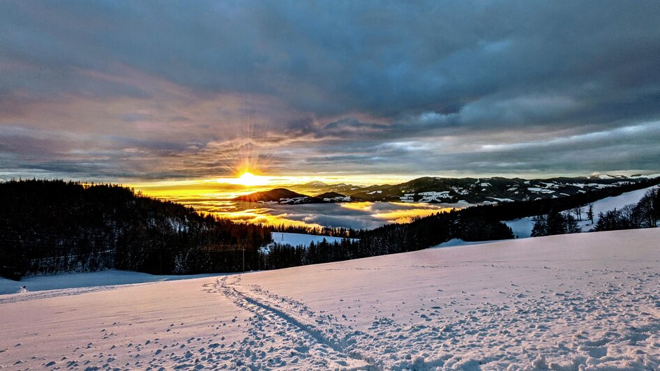 Schneelandschaft_Pöllau_Oststeiermark | © Markus Wiesenhofer