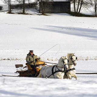 Kutschenfahrt im Schnee | © Rene van Bakel