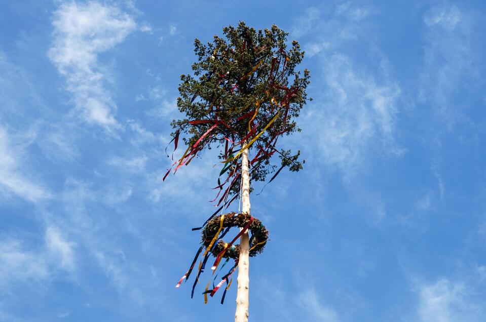 Maibaum_Adobe Stock | © Adobe Stock