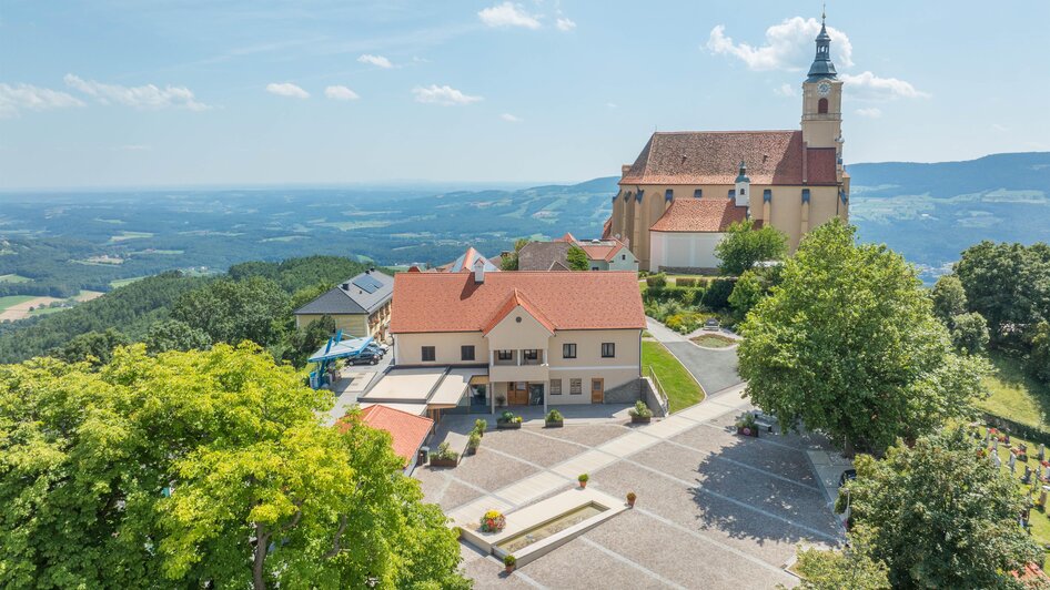 Weingarten Blick_Pöllauberg_Oststeiermark | © Helmut Schweighofer