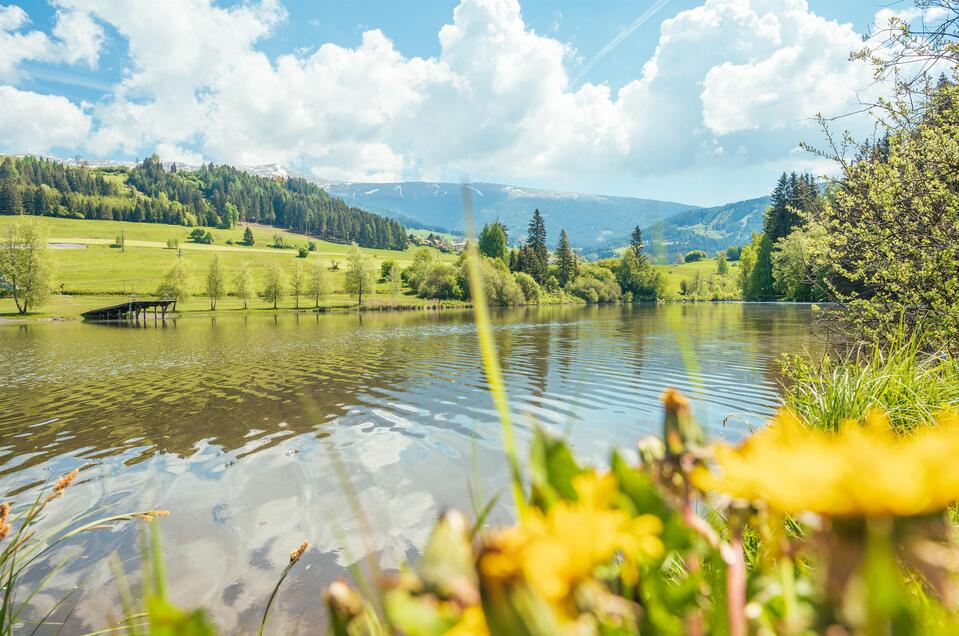 Swimming lake Mühlen - Impression #1 | © Tourismusverband Murau