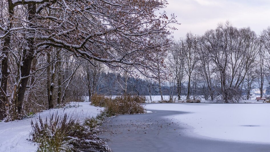 Blickner-Teich-Winter2-Murtal-Steiermark | © Anita Fössl