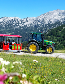 Slow train ride on the Hollhaus slow train | © Berggasthof Hollhaus | Berggasthof Hollhaus | © Berggasthof Hollhaus