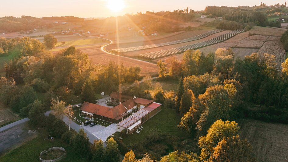 Demeterweingut Monschein - Impression #2.5