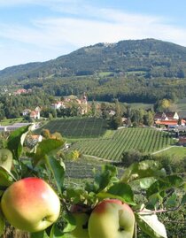 apple_street_location_view_eastern_styria | Walter Schneider | © Tourismusverband Oststeiermark