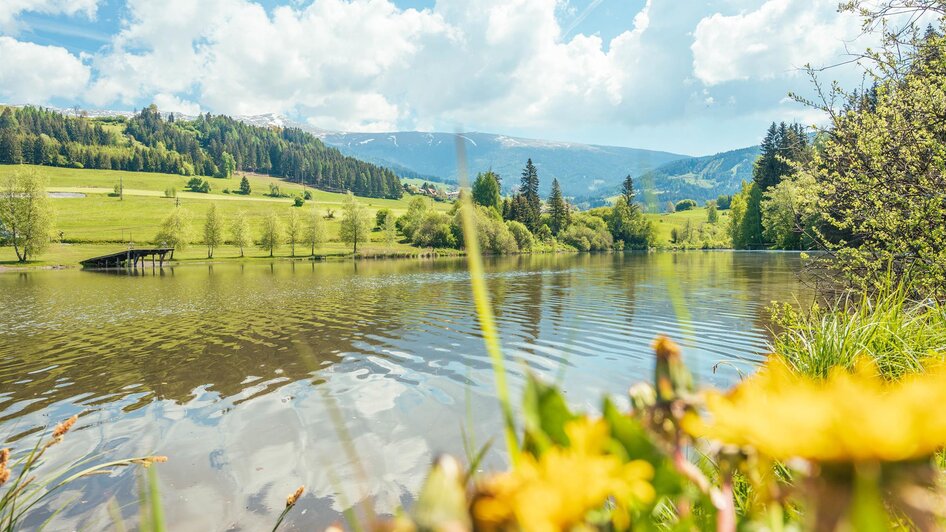 Mühlen Badesee | © Tourismusverband Murau