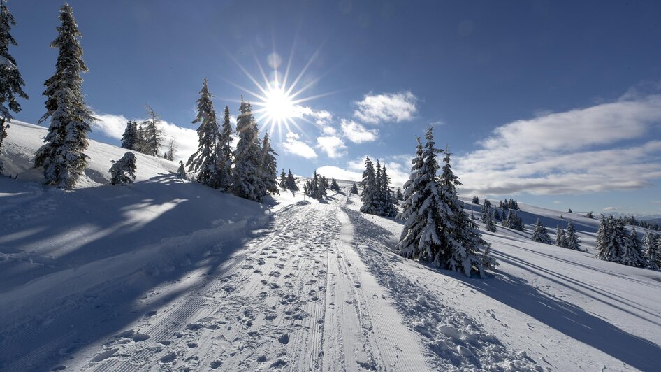 Am Weg zum Gipfel | © Steiermark Tourismus