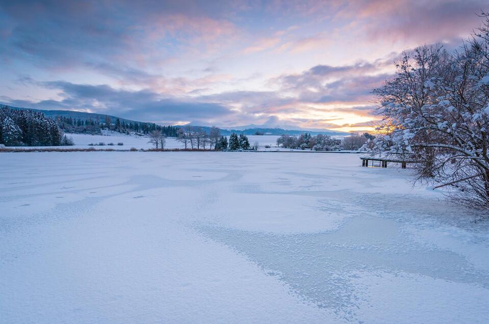 Furtner Teich - Impression #1 | © Tourismusverband Murau