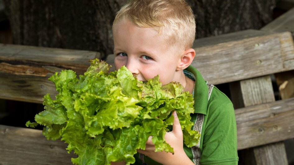 Kleiner Junge mit Salatkopf | © Region Graz - Harry Schiffer