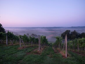 Ausblick vom Genusshof ins Raabtal | © Krenn-Kniely