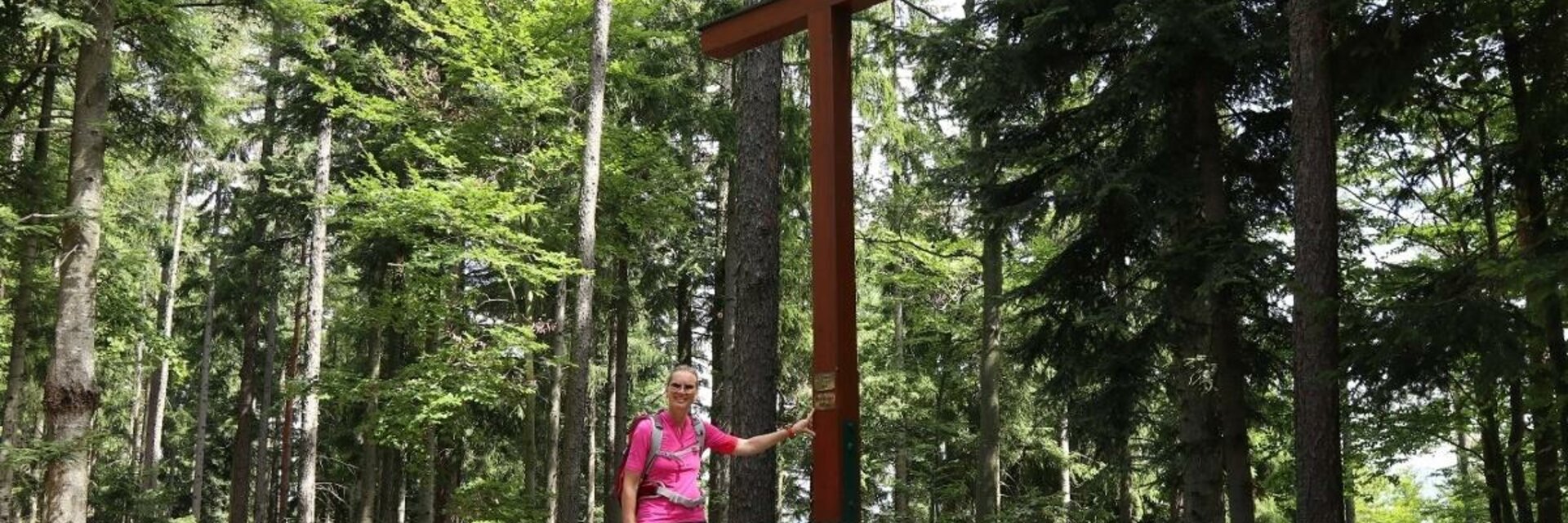 Gipfelkreuz Rabenwaldkogel - Impression #1