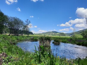 Naturjuwel Hörfeld-Moor | © Naturpark Zirbitzkogel-Grebenzen