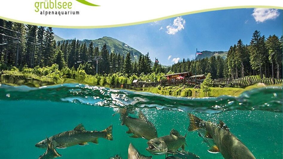 alpenaquarium | © Tauchschule Alpenaquarium Grüblsee