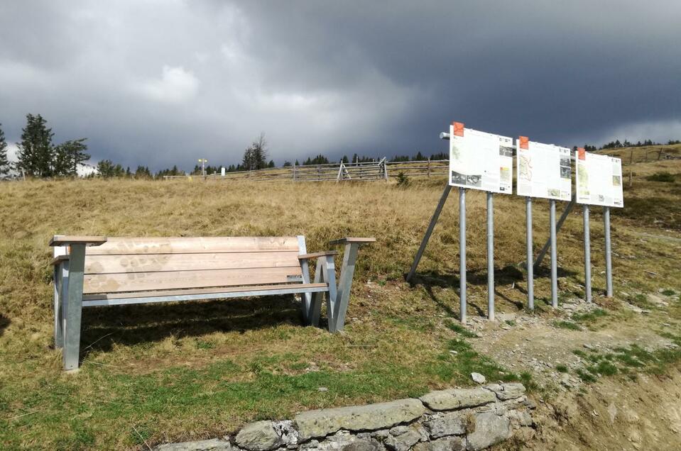 HWW-Station Vorauer Schwaig 1, 2 & 3 (Dreifachstation) - Impression #1 | © Historischer Verein Wechselland - Dr. Andreas Salmhofer