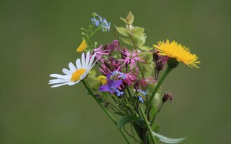 Hennermann Hairstyle, Grundlsee, Blumen | © Waltraud Loitzl