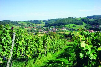 Weinberge | © TVB Thermen- & Vulkanland