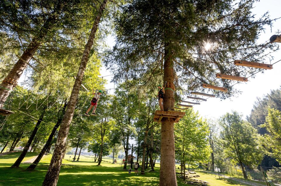 High rope course Oberwölz - Impression #1 | © Tourismusverband Murau