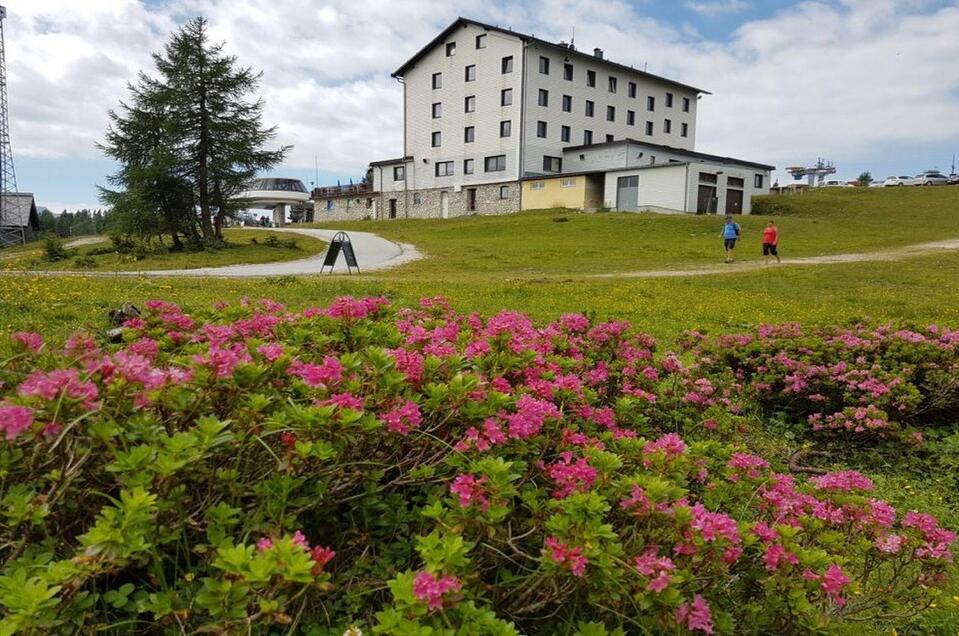 Hotel-Restaurant Berghof - Impression #1 | © Hotel Berghof