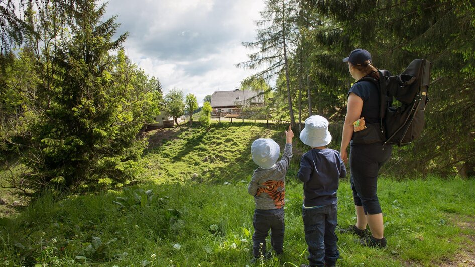 A Kurvn no zur Jaga Alm | © TV Kapfenberg