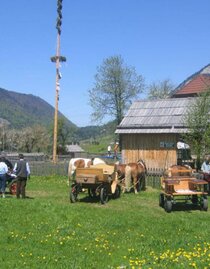 Snack station Stieger | © H. Rastl | H. Rastl | © H. Rastl