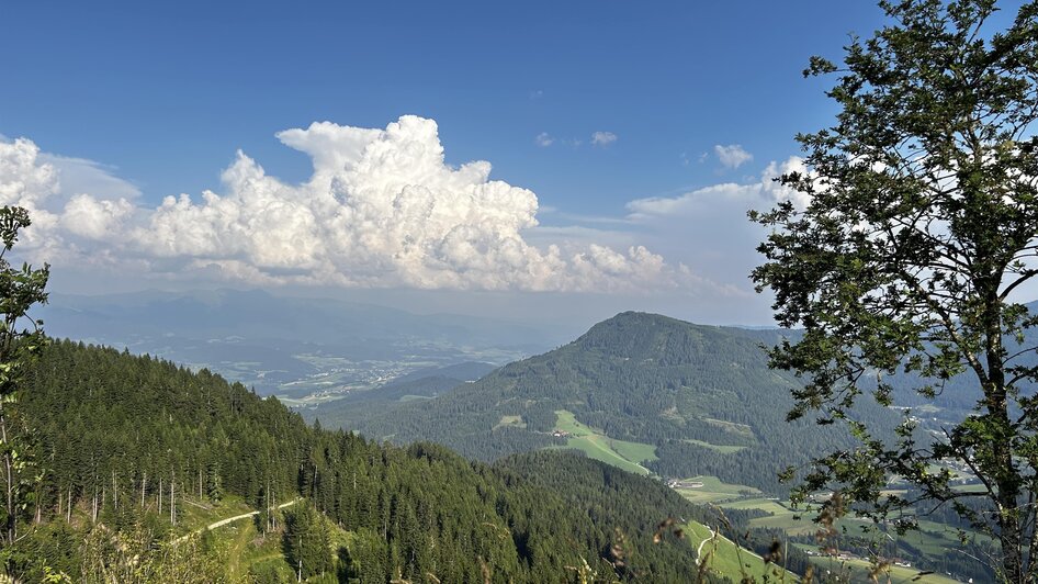 Ausblick auf die Grebenzen | © Tourismusverband Murau