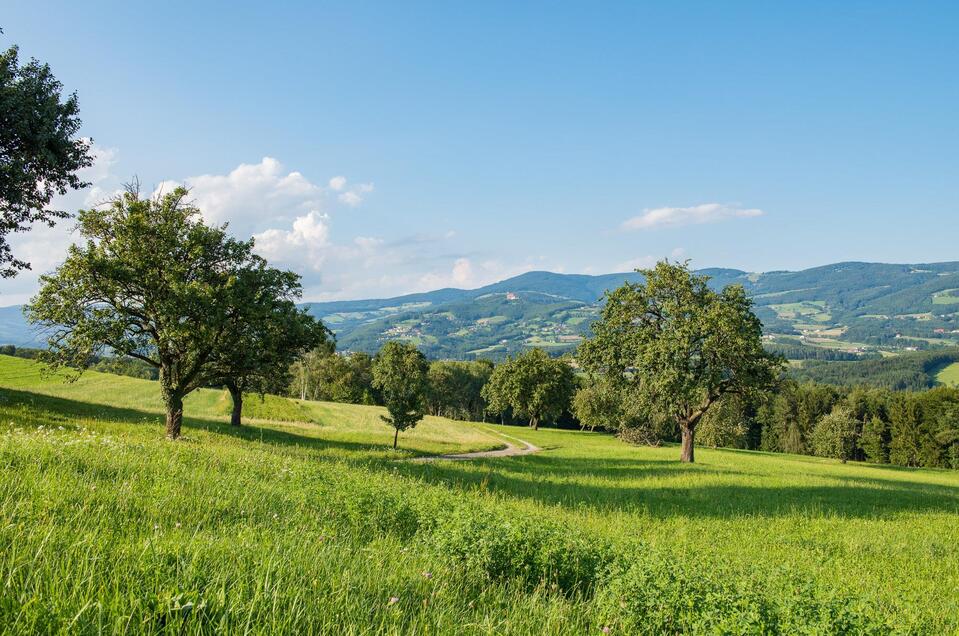 Nature Park Pöllau Valley - Impression #1 | © NuP Pöllauer Tal