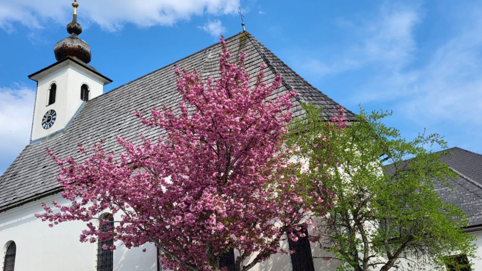 Pfarrkirche in Tauplitz | © TVB Ausseerland Salzkammergut/Kirchschlager