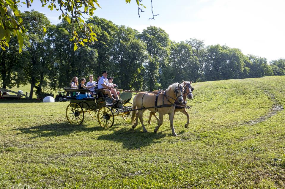 Horse-drawn carriage ride at the farm Moar in Graslupp - Impression #1
