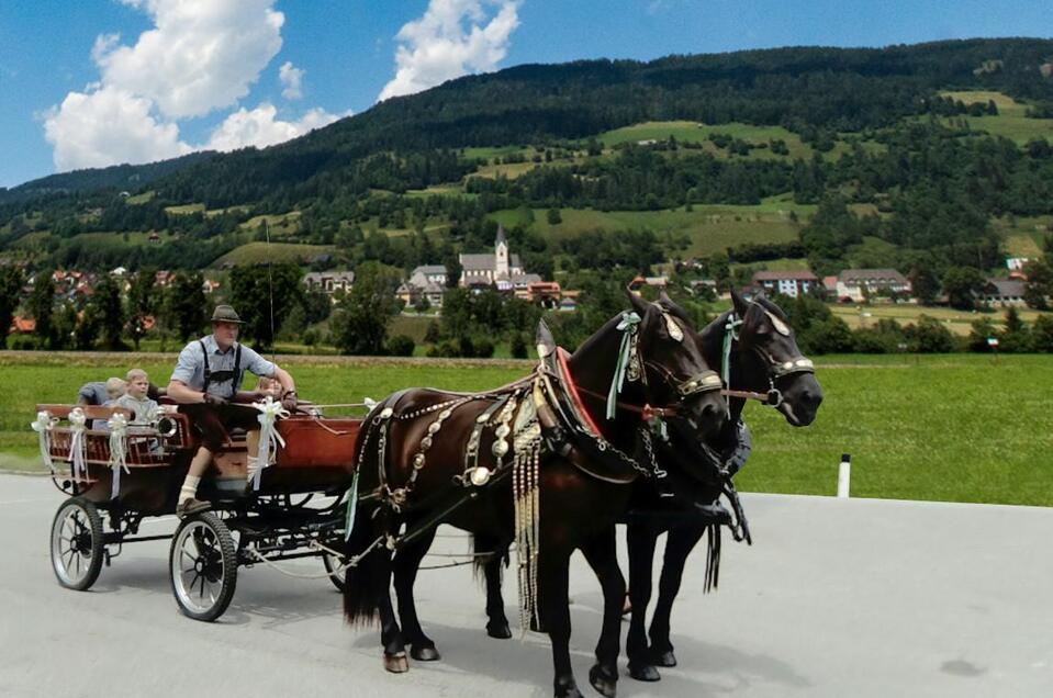 Horse-drawn sleigh & carriage rides Putzenbacher - Impression #1 | © Norikerzucht Putzenbacher