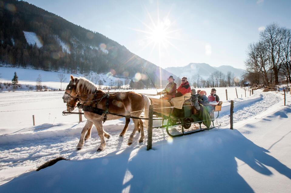 Horse-drawn sleigh & carriage rides Putzenbacher - Impression #1