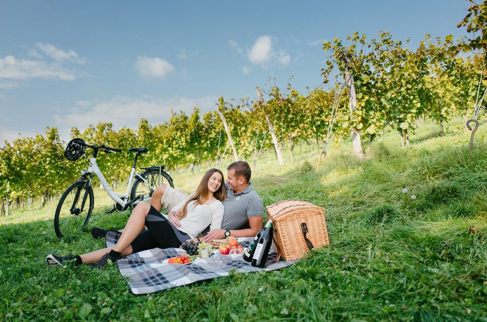 Picknicken im Weingarten Loder-Taucher in St. Ruprecht an der Raab - Impression #1