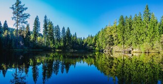 Podolerteich | © Tourismusverband Murau