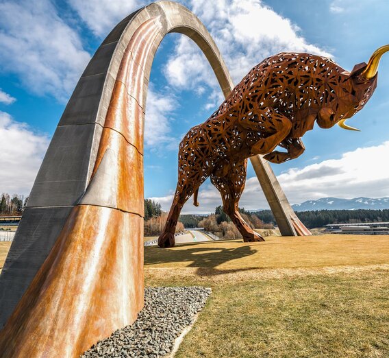 RedBullRing-Bulle-Frühling-Murtal-Steiermark | © Andreas Berr - Region Spielberg | HQ Superphoto | © Andreas Berr - Region Spielberg