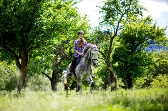 Reiten am Olachgut | © Tourismusverband Murau