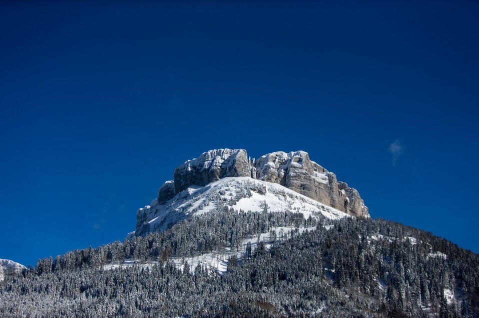 Rodelverleih - Skischule Haim - Impression #1 | © TVB Ausseerland - Salzkammergut-Tom Lamm