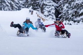 Rodeln Salzstiegl | © Tourismus Salzstiegl - Tom Lamm