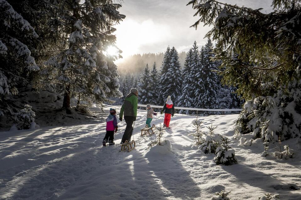 Tobogganing on the Kreischberg - Impression #1 | © Steiermark Tourismus