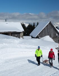 Rodeln-Hohentauern-Murtal-Steiermark | © Erlebnisregion Murtal | Herbert Raffelt | © Erlebnisregion Murtal