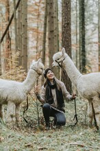 Schöcklblick Alpakas | © Schöcklblick Alpakas-Die Sonne