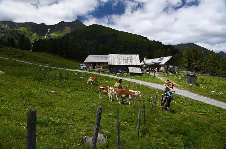 Scheibelalm - Familie Rössl - Impression #1 | © Erlebnisregion Murtal