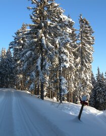 Teufelstein Cross-country skiing trail_track_Eastern Styria | © Hans Zink