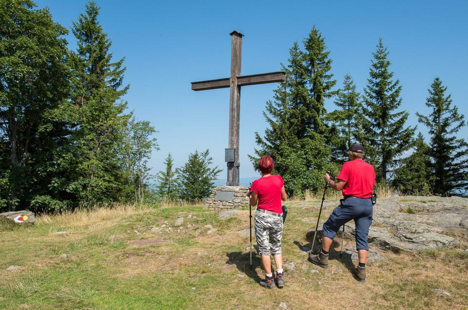 Waldlehrpad Masenberg - Impression #1 | © Helmut Schweighofer